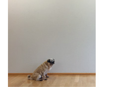 Aktuelles Bild