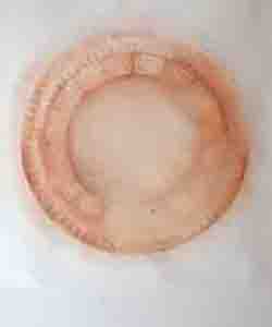 Aktuelles Bild