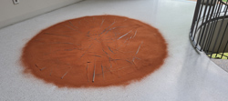 Aktuelles Bild