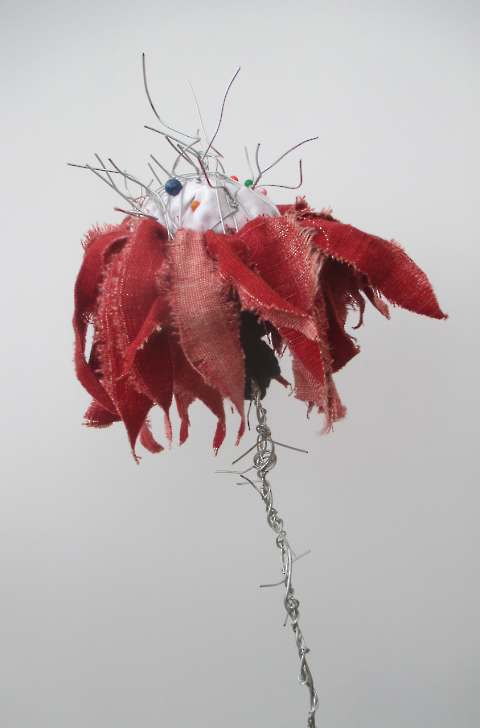 Flora Consolationis, 2015