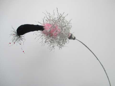Flora Consolationis, 2015