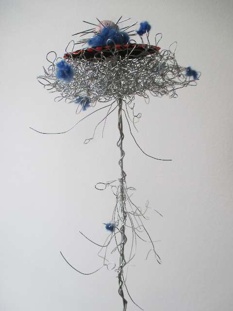 Flora Consolationis, 2016